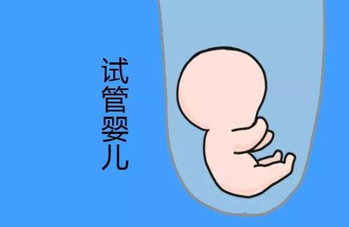 凍結胚移植