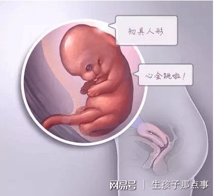林医師